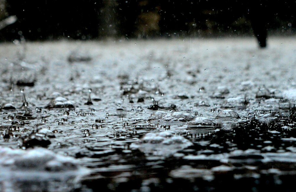 regen.jpg